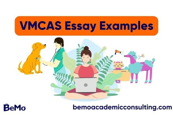 sample vmcas essay