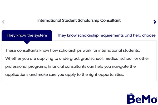 International Student Scholarship Consultant
