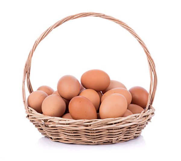 put all your eggs in one basket for academic and career success