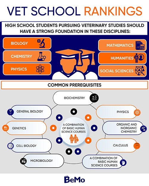 Vet school interview questions and answers