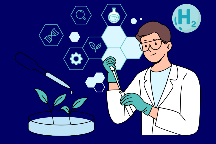 Arshia Farajollahi Research Project