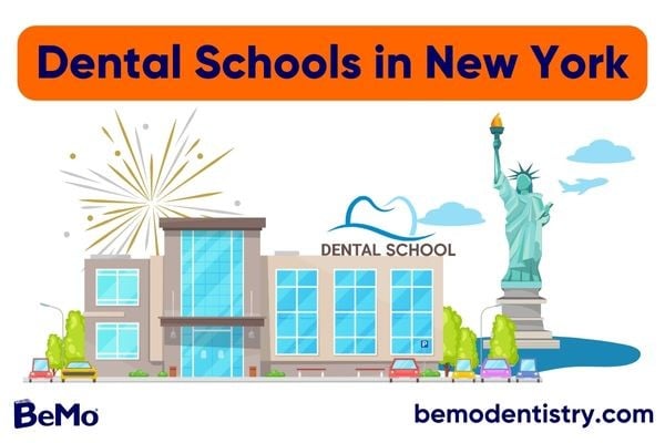Dental Schools in New York